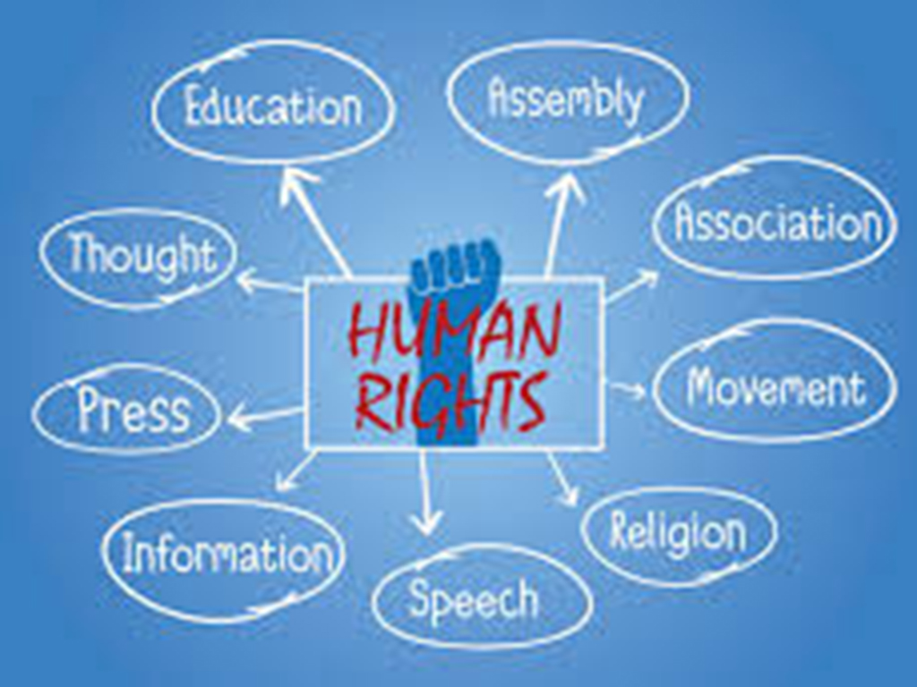 top human rights law schools
